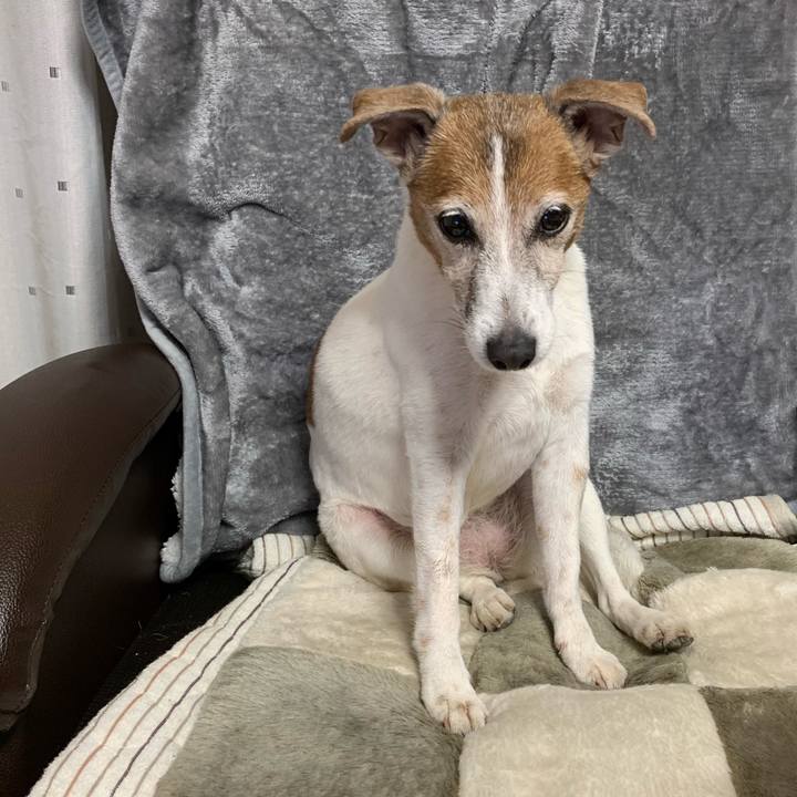 F271d661 bf99 4f66 96b3 b29f6b0fec47 1610287896670