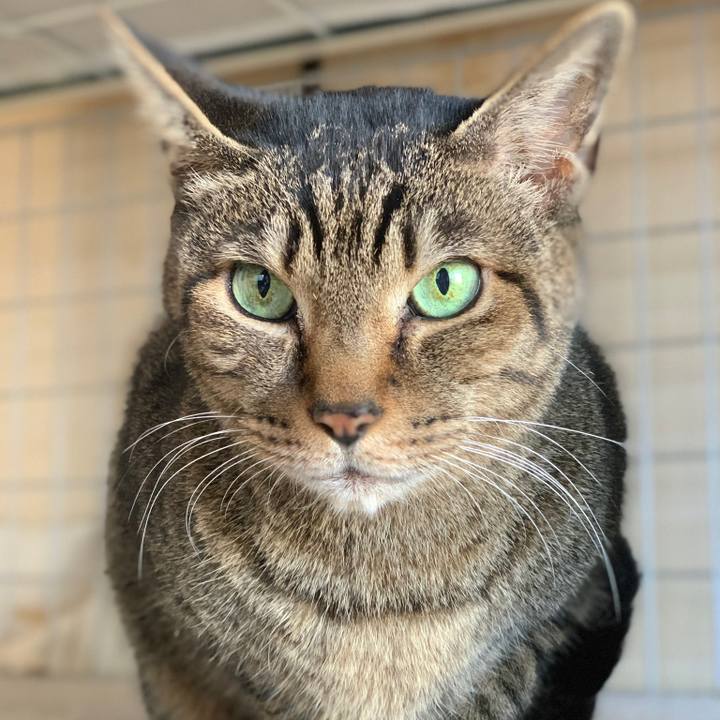 F271f4a5 111a 45e4 a5e0 33876c80e62f 1581297785589