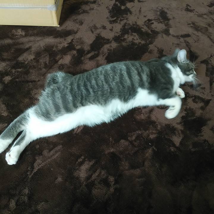 F271fc5f e64f 4846 b383 fa272b136776 1575337964011