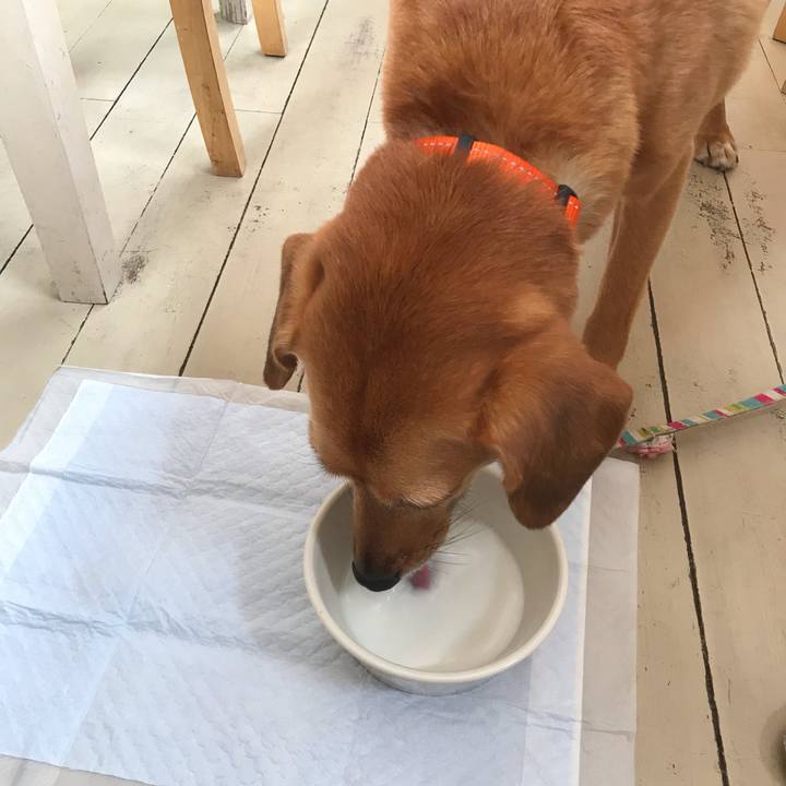 F27214e2 1fca 4f2a bfcf c01a3ded4467 1559455118138