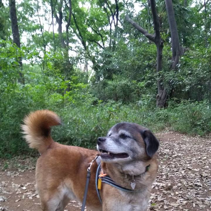 F272520b 58a2 4fa4 b792 dfc439db9409 1558346255354