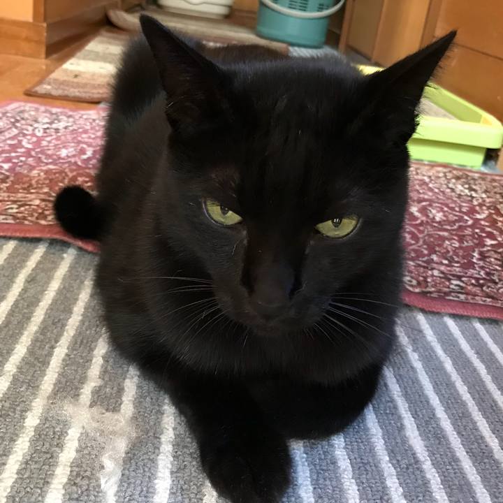 F272920a 7a6d 4046 bd76 79aeb697b38d 1509670062561