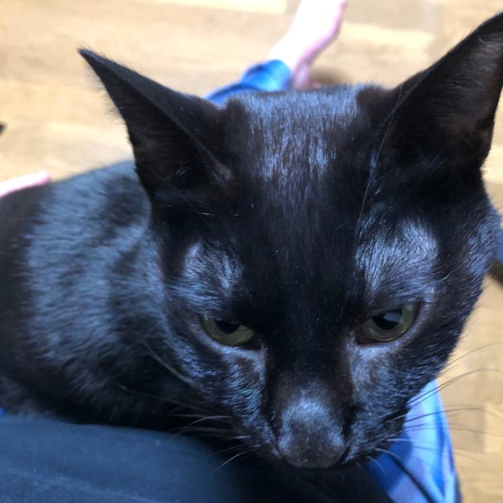 F2729774 6e64 43a2 99b4 4091a33ee211 1735999374451