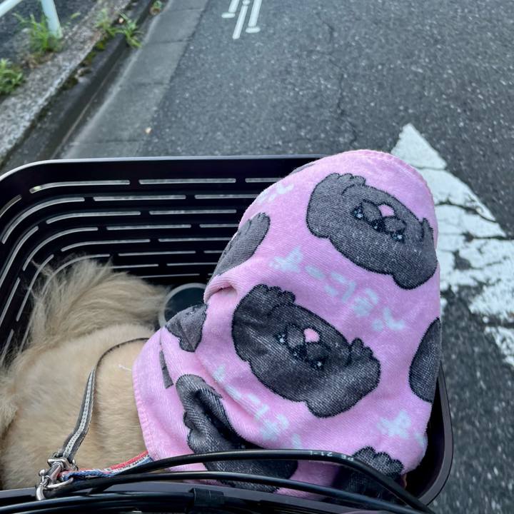 F272b48e ba26 464c 8a58 173c3d353aab 1752614725636