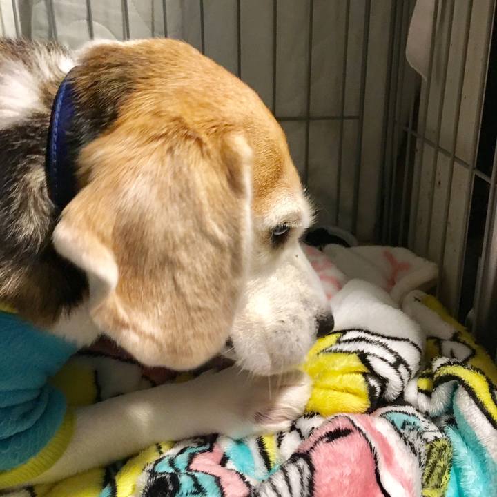 F2730187 e6e2 47b3 97ef 5896de38e3e4 1550063791570