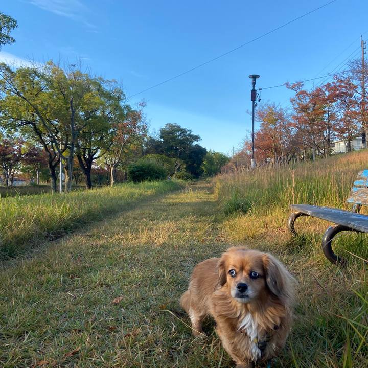 F273205c c929 4de7 a4ff 54baf5c07634 1667603334978