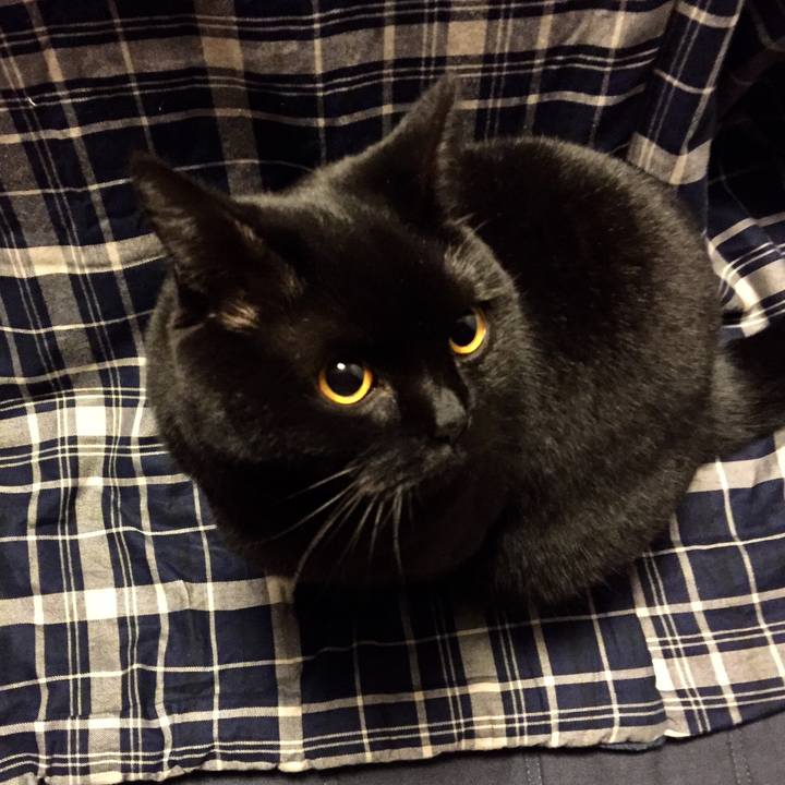 F27343f2 778d 4839 94fe c069910572a0 1519391933664