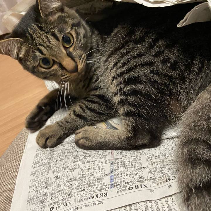 F2736dfa 8c0f 47fc 8d21 392c5aac18b0 1623754848804