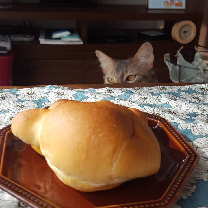 F2738820 1907 497c 91e2 a39992ad7472 1582329250774