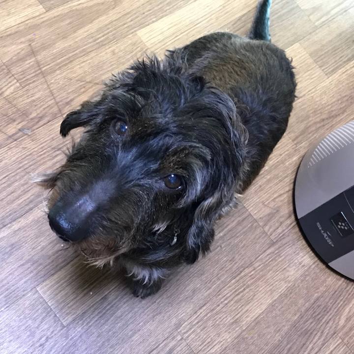 F2738cb5 7245 4b4a 945d 68e75bbcbeba 1509062295891