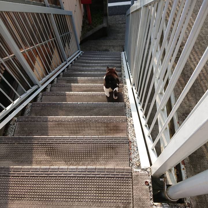 F27396cd 7f99 470a 8b12 ddb2e5f10693 1661334732845