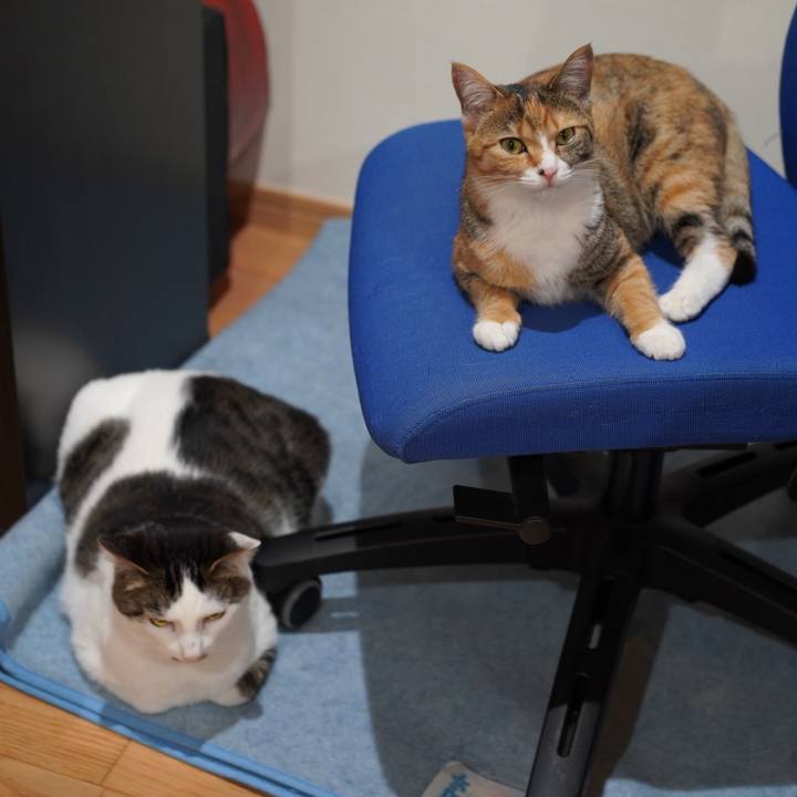 F273b345 fbb0 4924 b6e8 9db7dd14184d 1588378695863