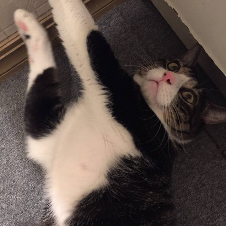 F273b49f 9fd6 41fb bc1b 2e5a0f3b26a4 1511705964313