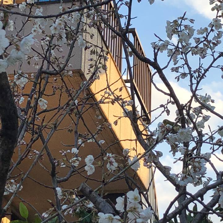 F273c7e3 7f6d 46a7 88dd 8d8462817e8b 1520673265226