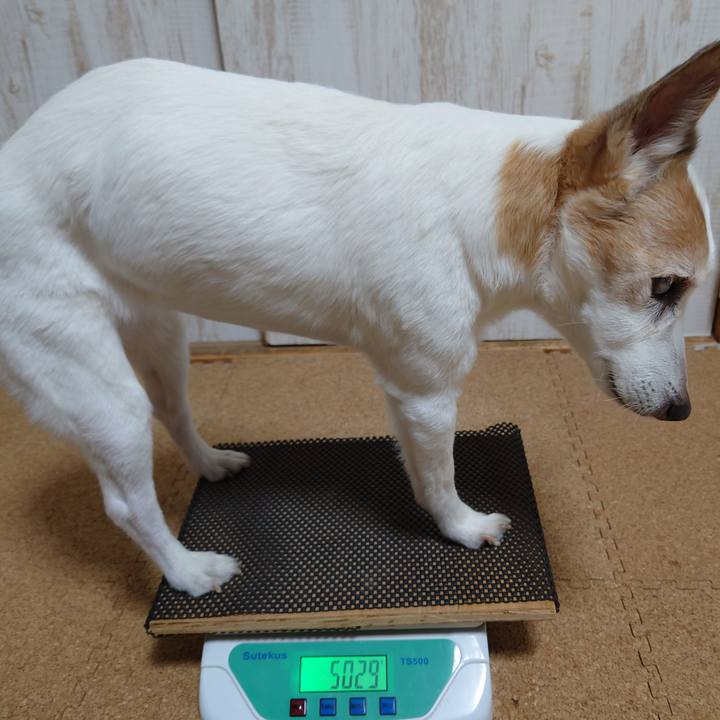 F273cd5f 4c2b 408a 8002 1f4ccd2212b5 1773673682612