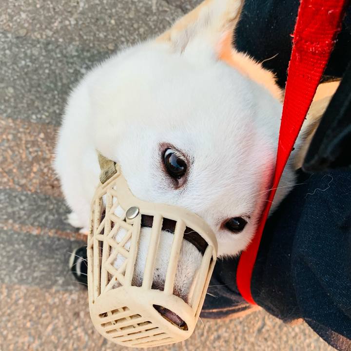 F273d73f 35e4 447b bafd a19507b2c837 1629491535211