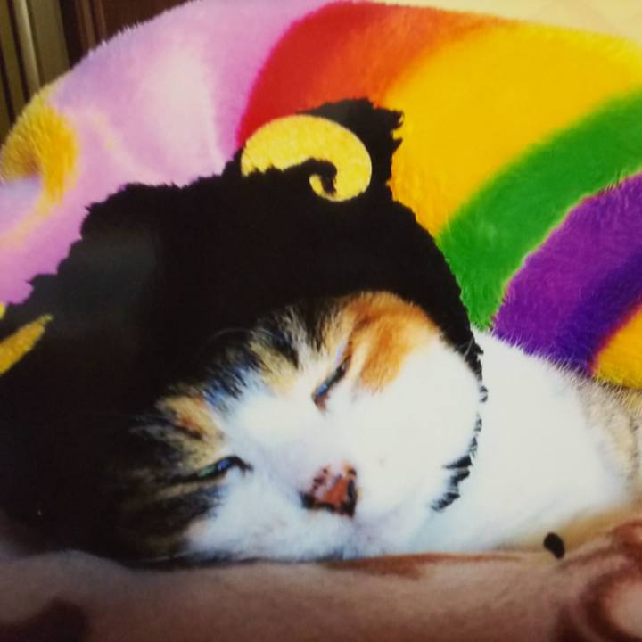 F273e836 2054 452b 8fe8 e0767300c194 1552204787472