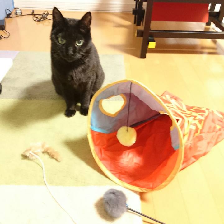 F273ed9f 02f8 4dee 8ac1 37dc352733b6 1514113601484