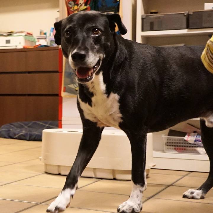 F27444a8 ad05 44e5 8b30 a9dbf02e4a5c 1759662694517