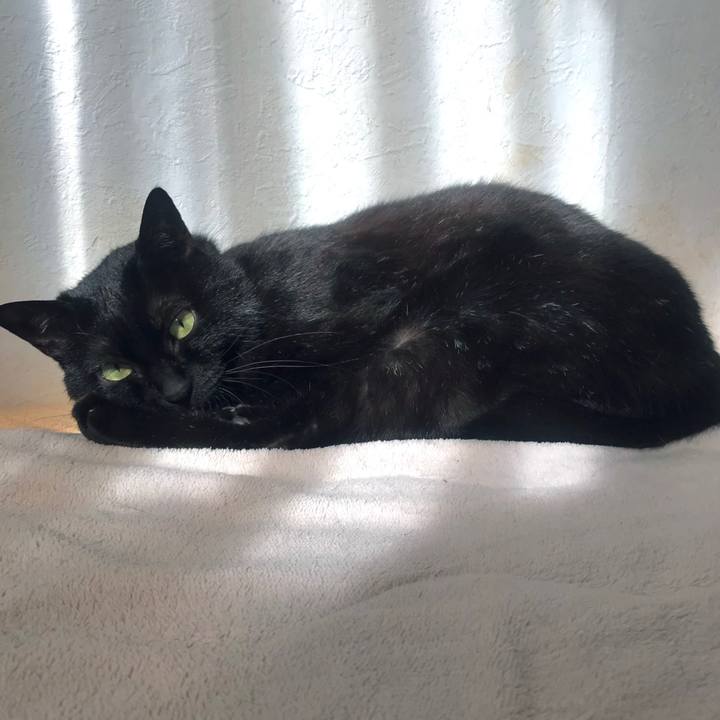 F2745435 061c 4b83 97e5 36f7d0091667 1638505706939