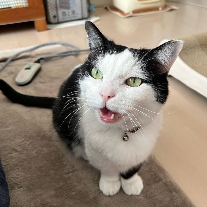 F27491b2 83c5 4c7c b532 82ad9a291ca0 1772236906350