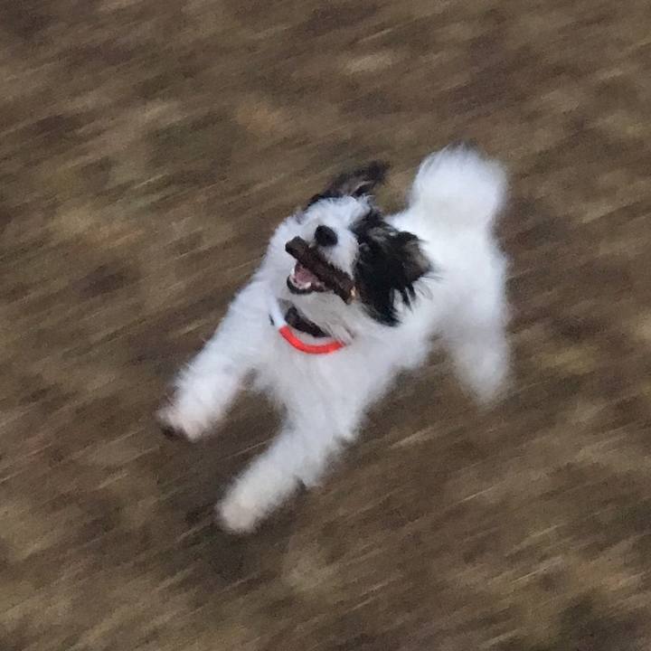 F274a8e5 2c61 4513 9a35 deaa4d92f899 1512079547326