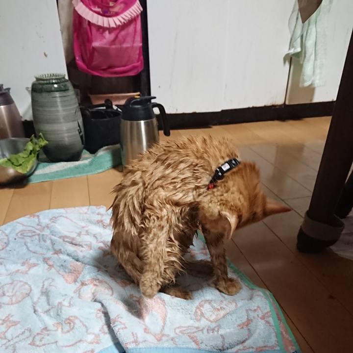 F2751d3a ccd8 4b8e 988a 9cb121ee4a12 1636493780397