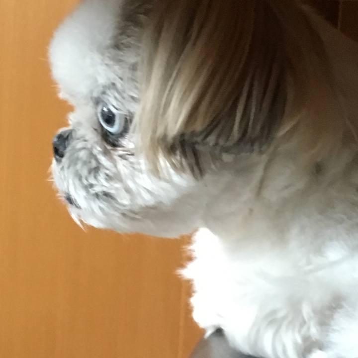 F275266f b323 4de9 a550 ac235cd80d34 1561184358220