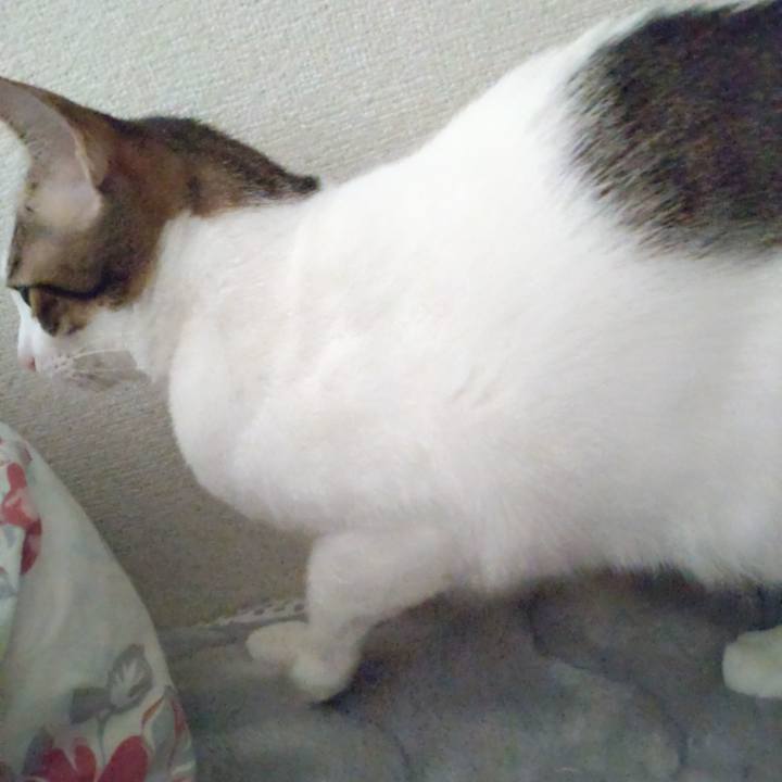 F2752794 0c28 468c b16a fe8b604a2e22 1679266105473