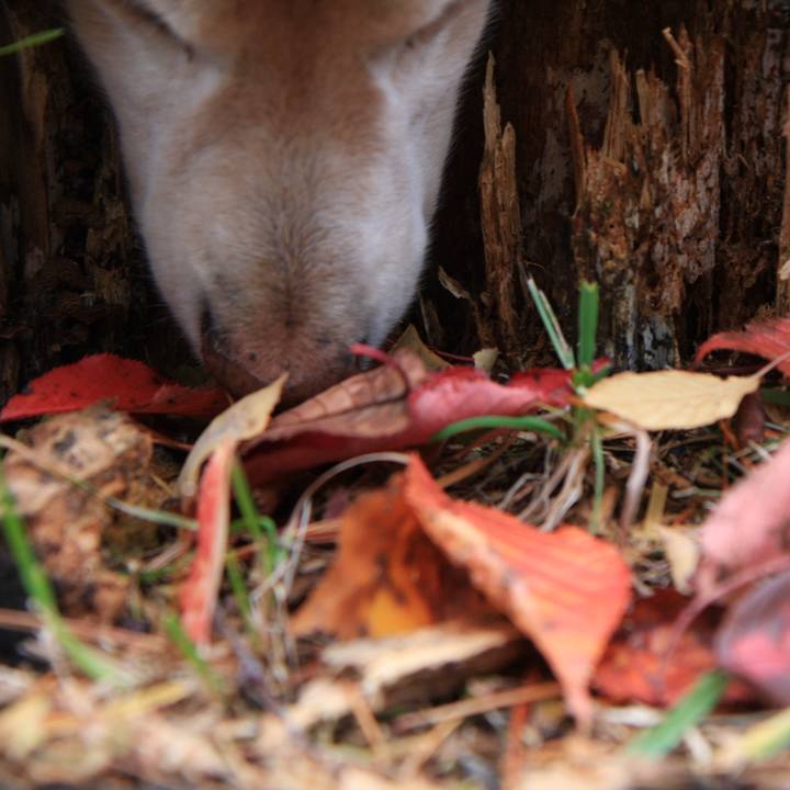 F275345f 779e 4723 bcf4 31e78e8db0ad 1763892786313