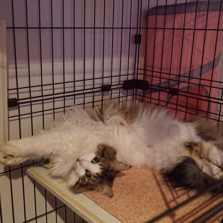 F27553f3 6bcb 47ff acbb 038354834554 1563724024471