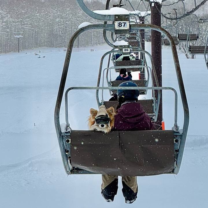 F2756d91 ecc3 4643 b59f 72f9684797cb 1770426119388