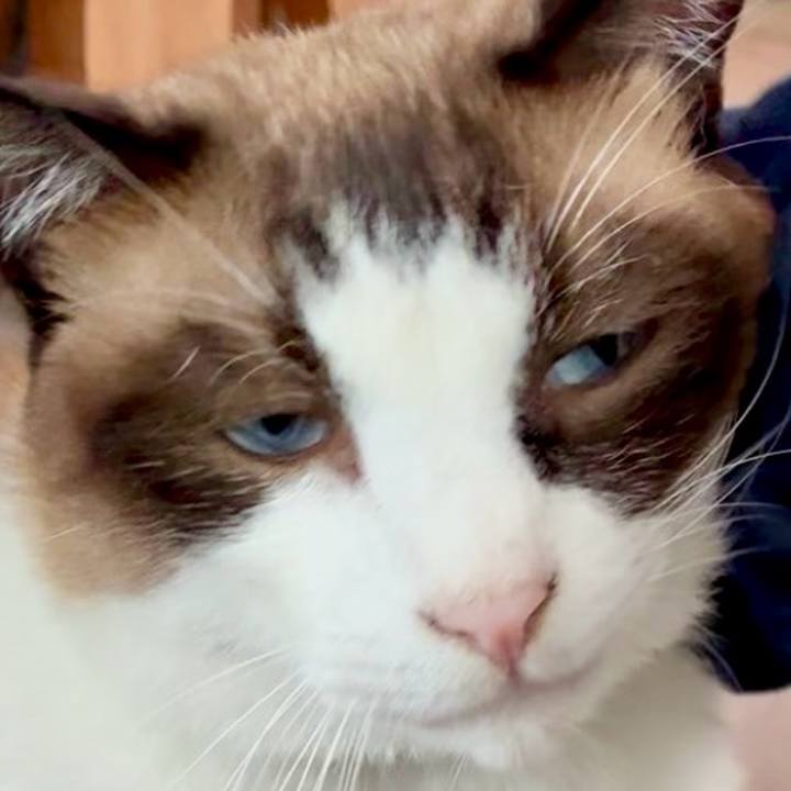 F2759f09 b42d 4cd8 b346 c8a5ac04a9d9 1755053995102