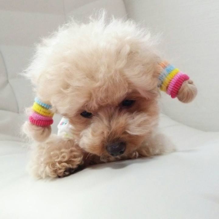 F275b47a 1598 436e 8018 188e8a350724 1530695637755