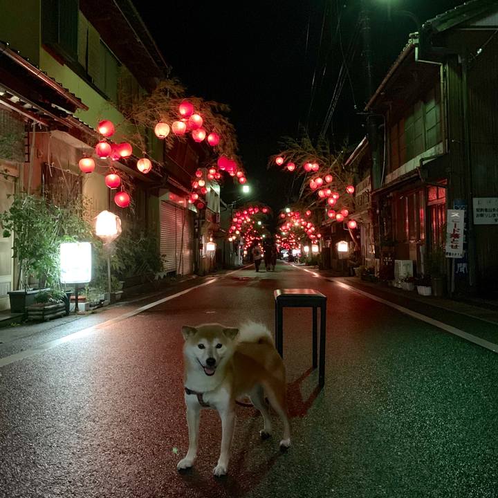 F2760ddc f1f9 43f4 afa1 bbe6857d6cb3 1563536329726