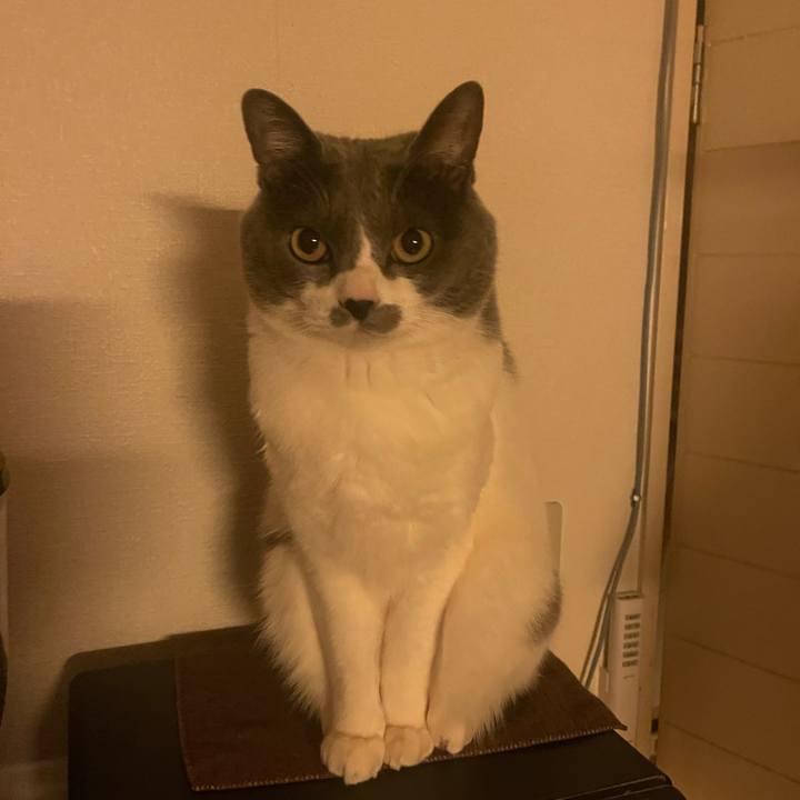 F2761b19 951a 41fa a9c3 a872fbe60bfc 1709634559261