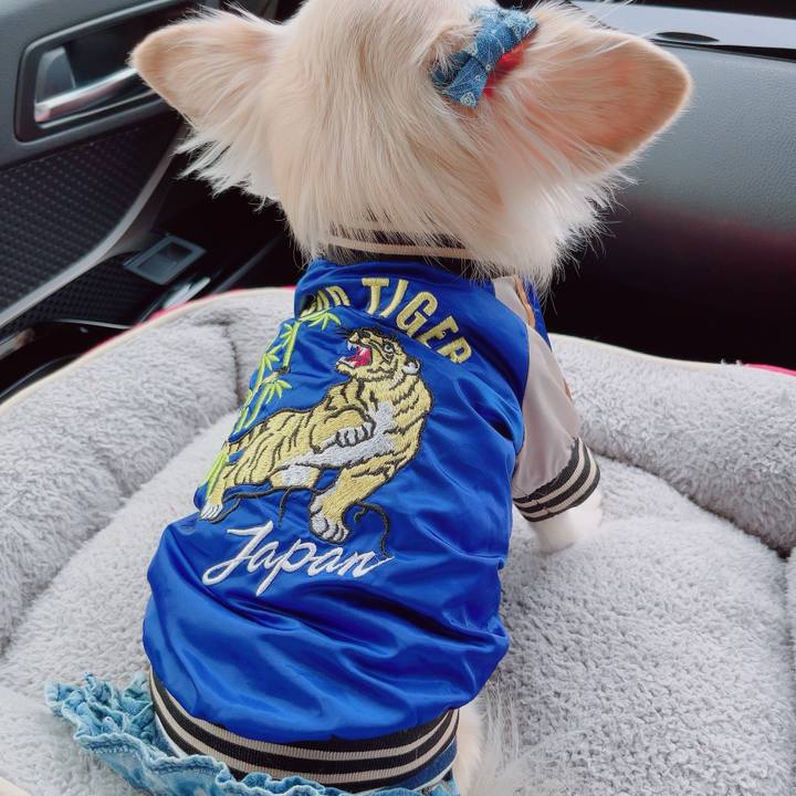 F2762a7e d0c3 4b61 943d bc794e75a818 1704174364886