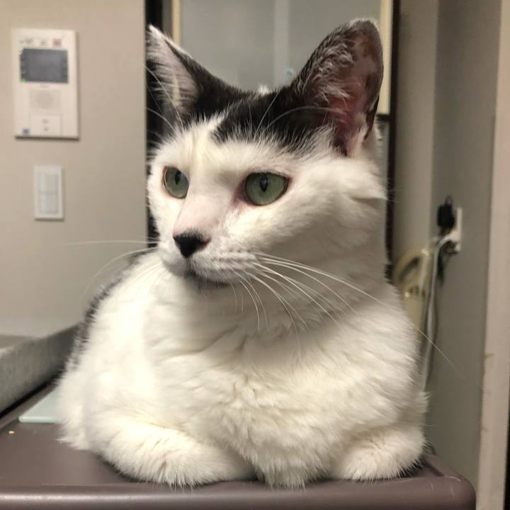 F2764e87 16bc 4a1c a625 9cc17da29dd6 1595667370486