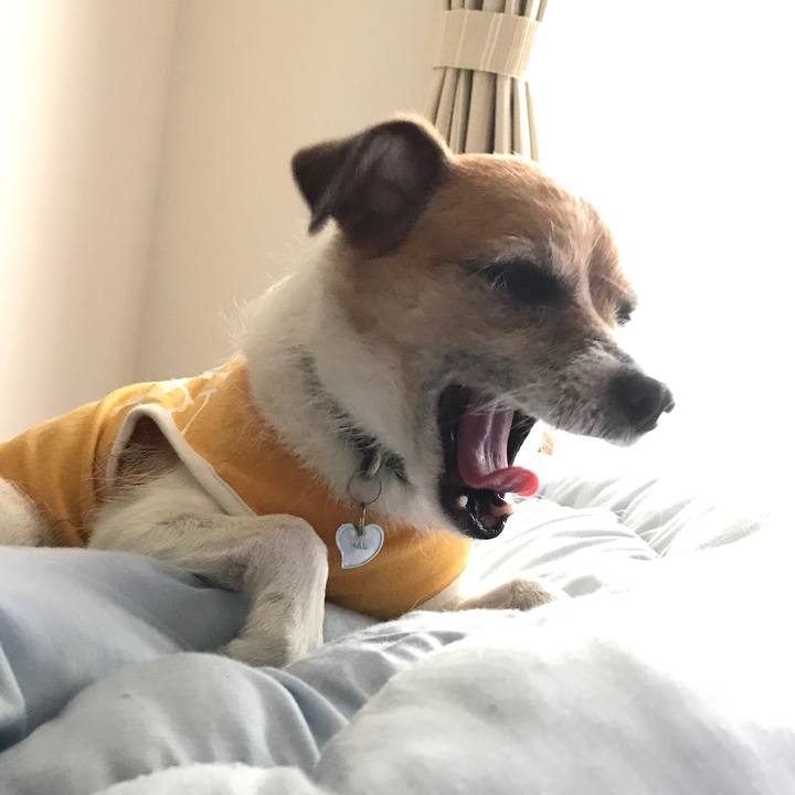 F27650fc 421d 4b53 8f9a 651d2d58dd98 1570520704458