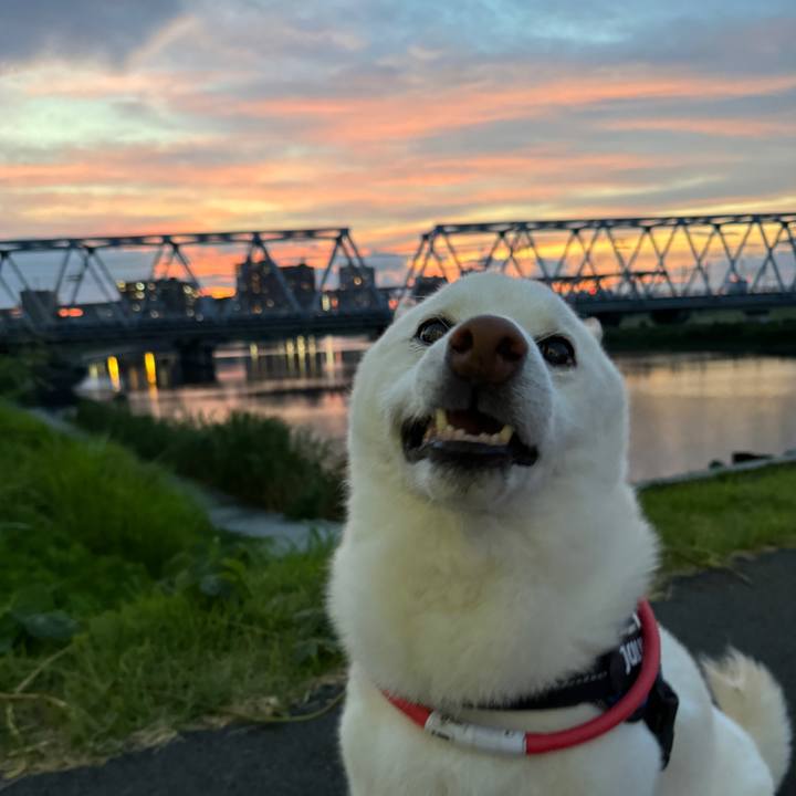 F276843f ac63 4906 942f c9bb9e98504f 1722161356637