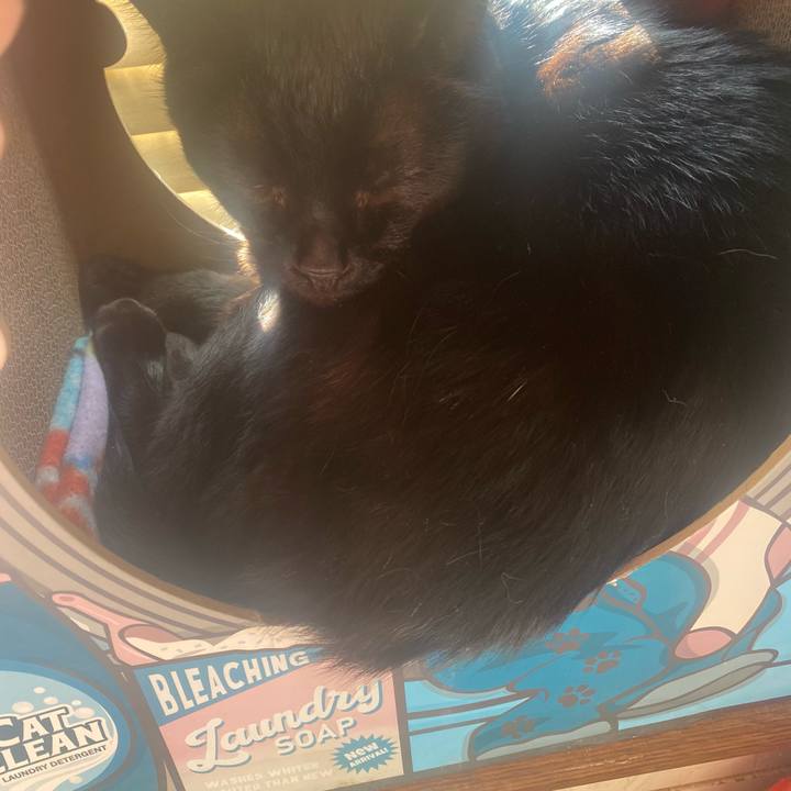 F2768d53 e166 47ef a6f4 547c4286efc6 1763794369190