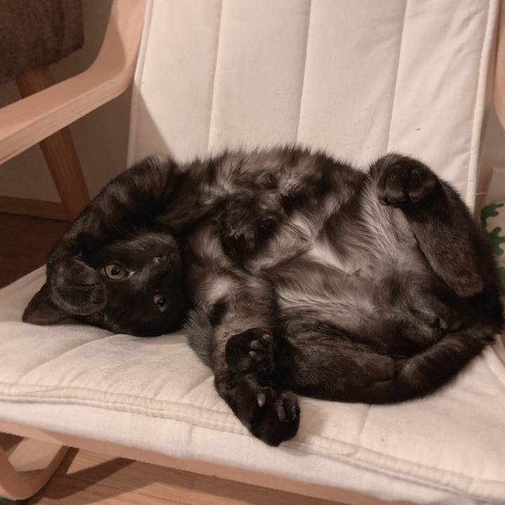 F2768d8f 3ae5 4e5b b694 f6f1d5a352da 1556900398421