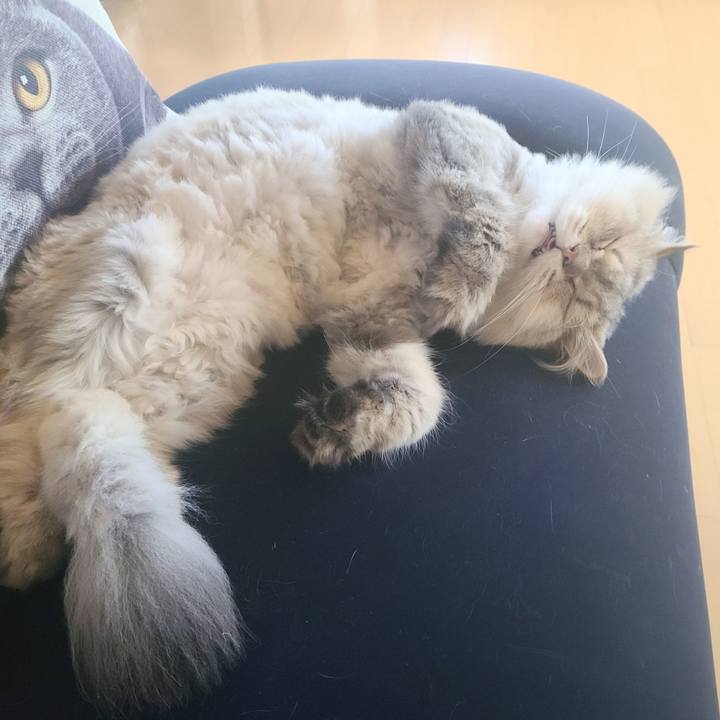 F276aaab c065 46f3 bb8b 388840ae84d0 1661933526115