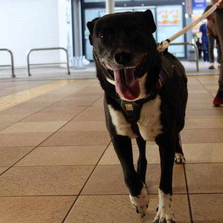 F276b31f 0793 49cd 8e04 0b2241b61437 1663374242237