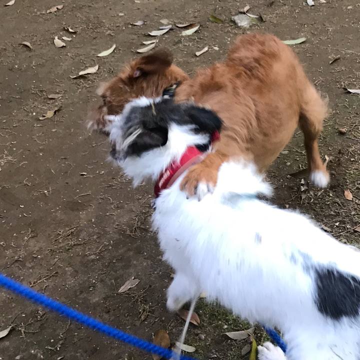 F276c259 a318 48ce 8d3b 3da6eb0911d7 1588468446688