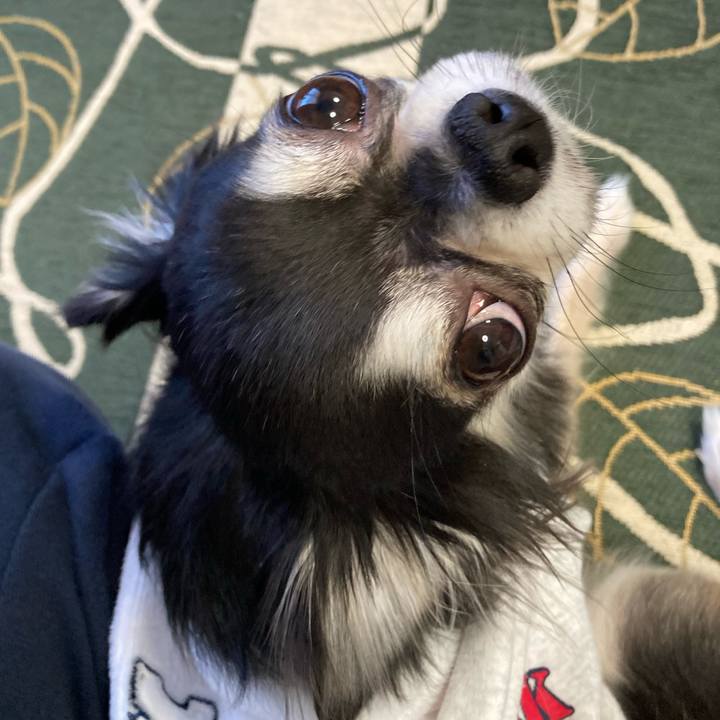 F276d6eb f69c 49b1 8489 4870cf2a87f2 1642310733355