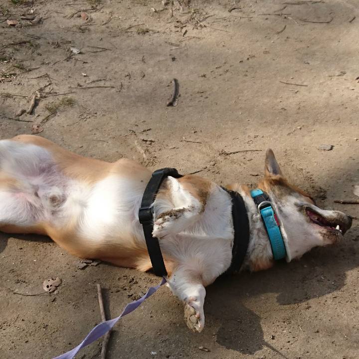 F276f472 ff57 492c abb5 f19a8286f973 1673408294468