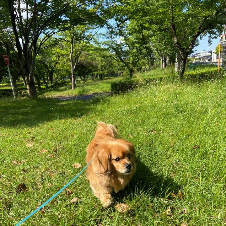 F2770dad c59e 4297 852b 72b96d0f095a 1653178895673