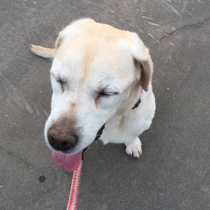 F2772673 f806 4b30 845e 24fbcd34bc75 1529400815437