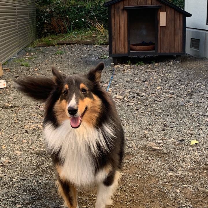 F2773a5c de3b 45cf b31d a130df4d5b36 1573597317493